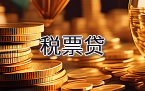 临沧税票贷